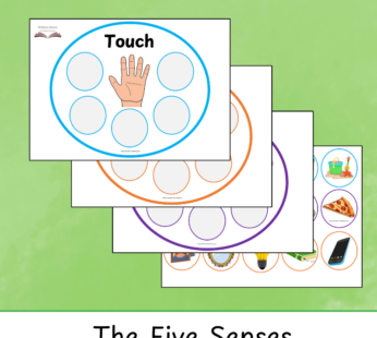 The Five Senses