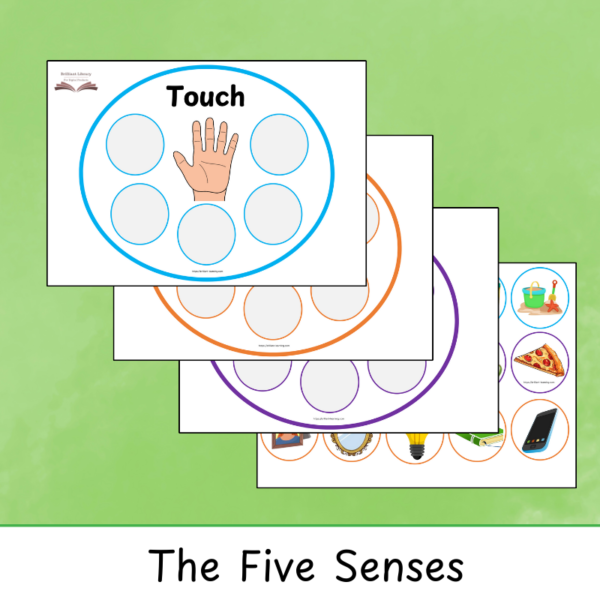 The Five Senses